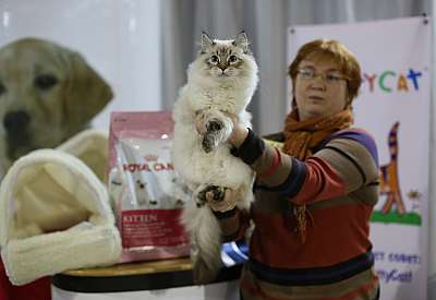 �������� ����� '���-�����-������' 22-23 ������ 2014 12-66-169A9518 copy.jpg